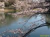IMG_4039