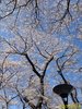 IMG_3996