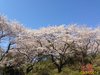 IMG_4006