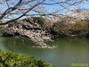 IMG_4019