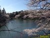IMG_4060