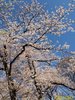 IMG_4003