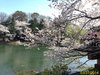IMG_4036