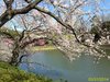 IMG_4026