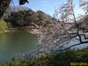 IMG_4028