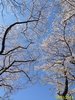 IMG_3997