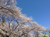 IMG_4004