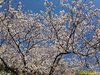 IMG_4061