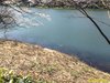IMG_4055