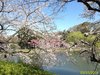 IMG_4027