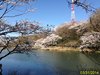 IMG_4066