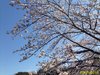 IMG_4021